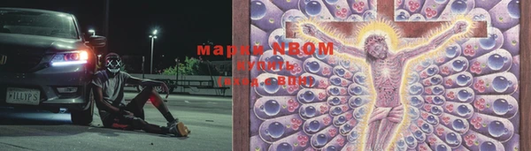 индика Семилуки