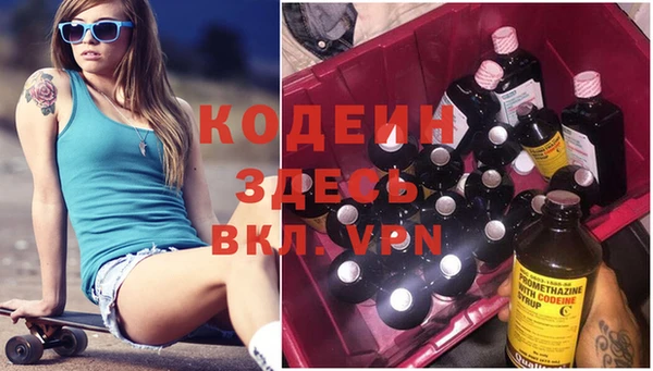 индика Семилуки