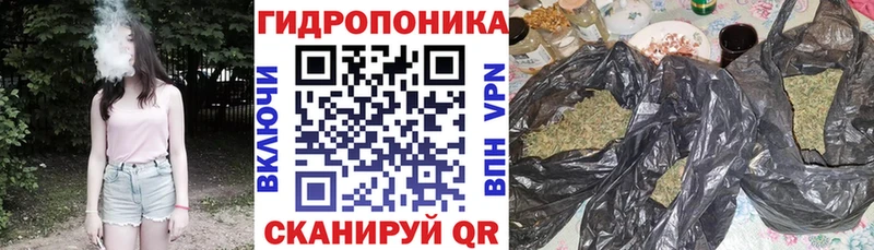 Бошки марихуана White Widow Онега